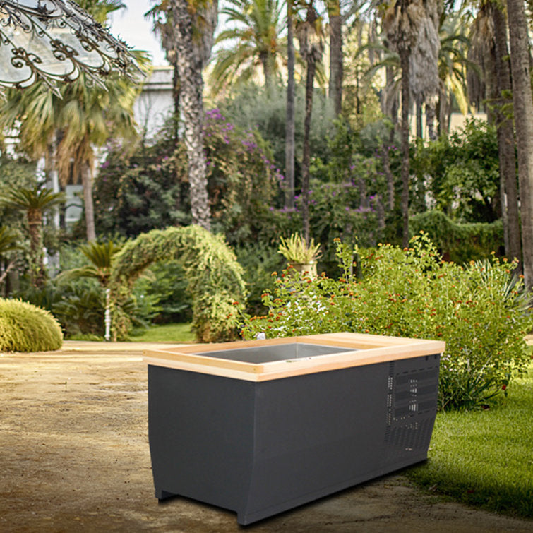 anyi 110 volt 1 – person solid wood rectangle hot tub
