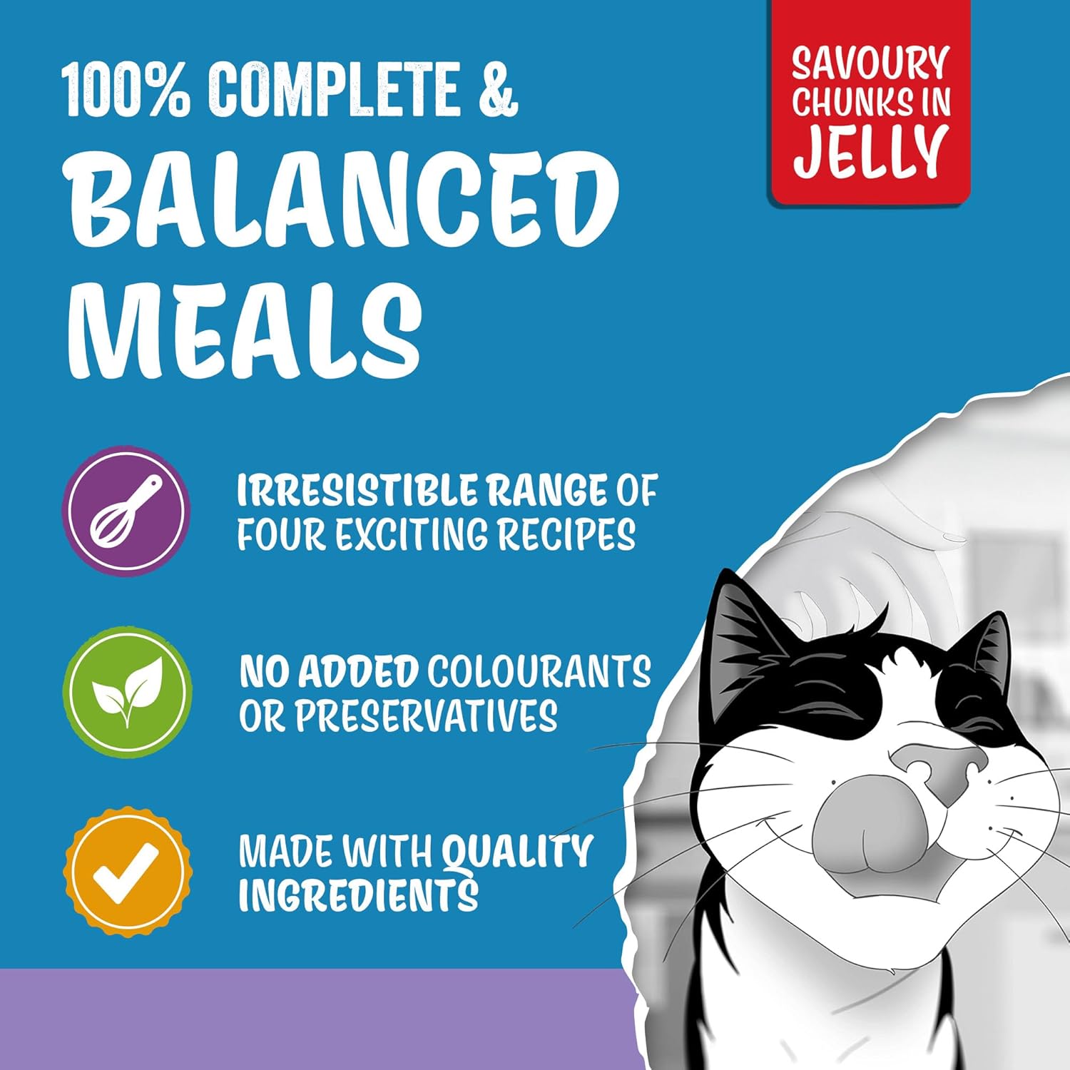 felix original mixed selection in jelly wet cat food 120x85g felix original mixed selection in jelly wet cat food 120x85g