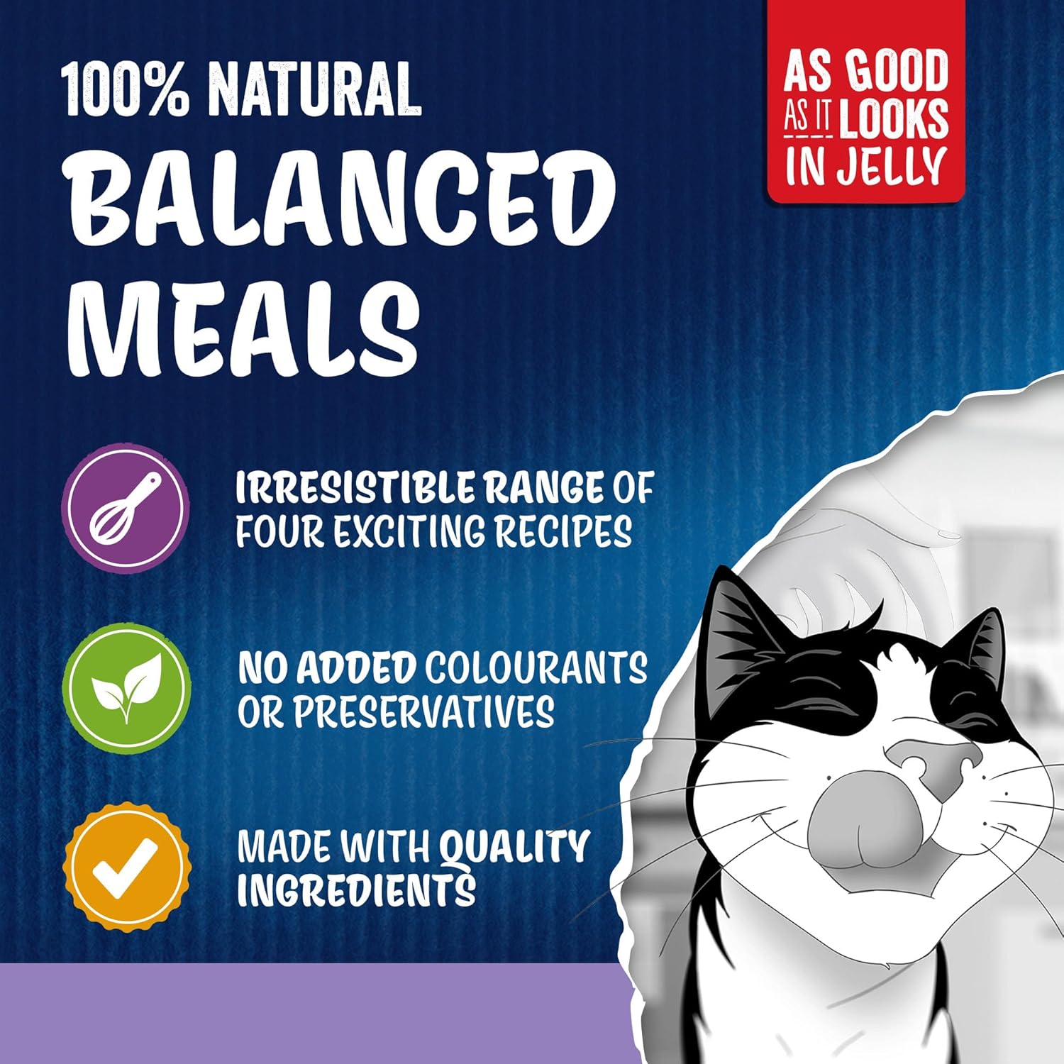 felix as good as it looks favourites selection in jelly wet cat food 120x85g felix as good as it looks favourites selection in jelly wet cat food 120x85g