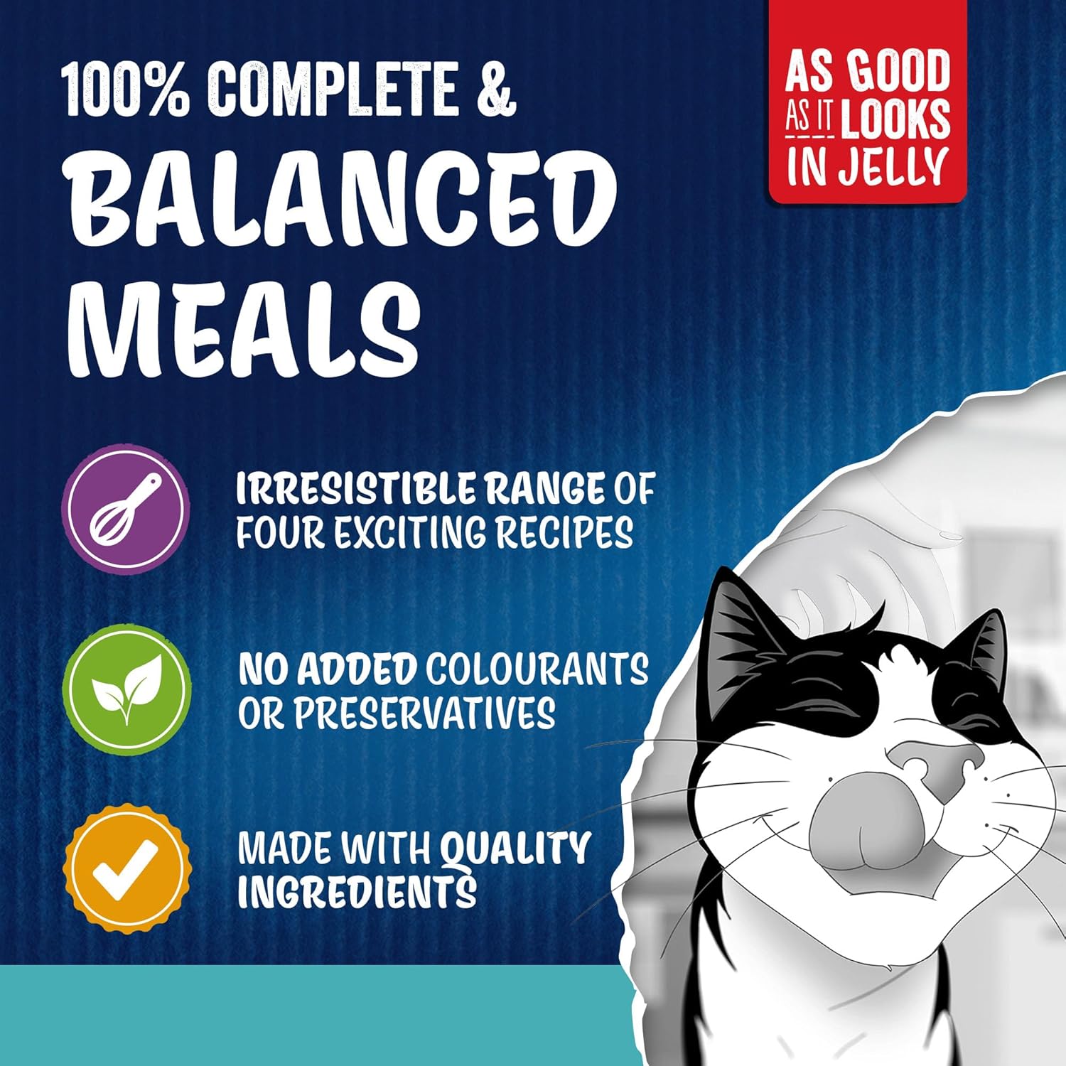 felix as good as it looks ocean feasts wet cat food 40x85g felix as good as it looks ocean feasts wet cat food 40x85g