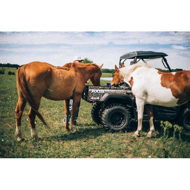 axis 500 4 × 4 utv axis 500 4 × 4 utv