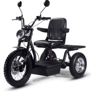 mototec electric trike 1800w