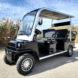 electric golf cart limo lsv low speed vehicle six passenger – 60v skyline transporter – black