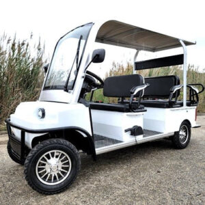 electric golf cart limo lsv low speed vehicle six passenger – 60v skyline transporter