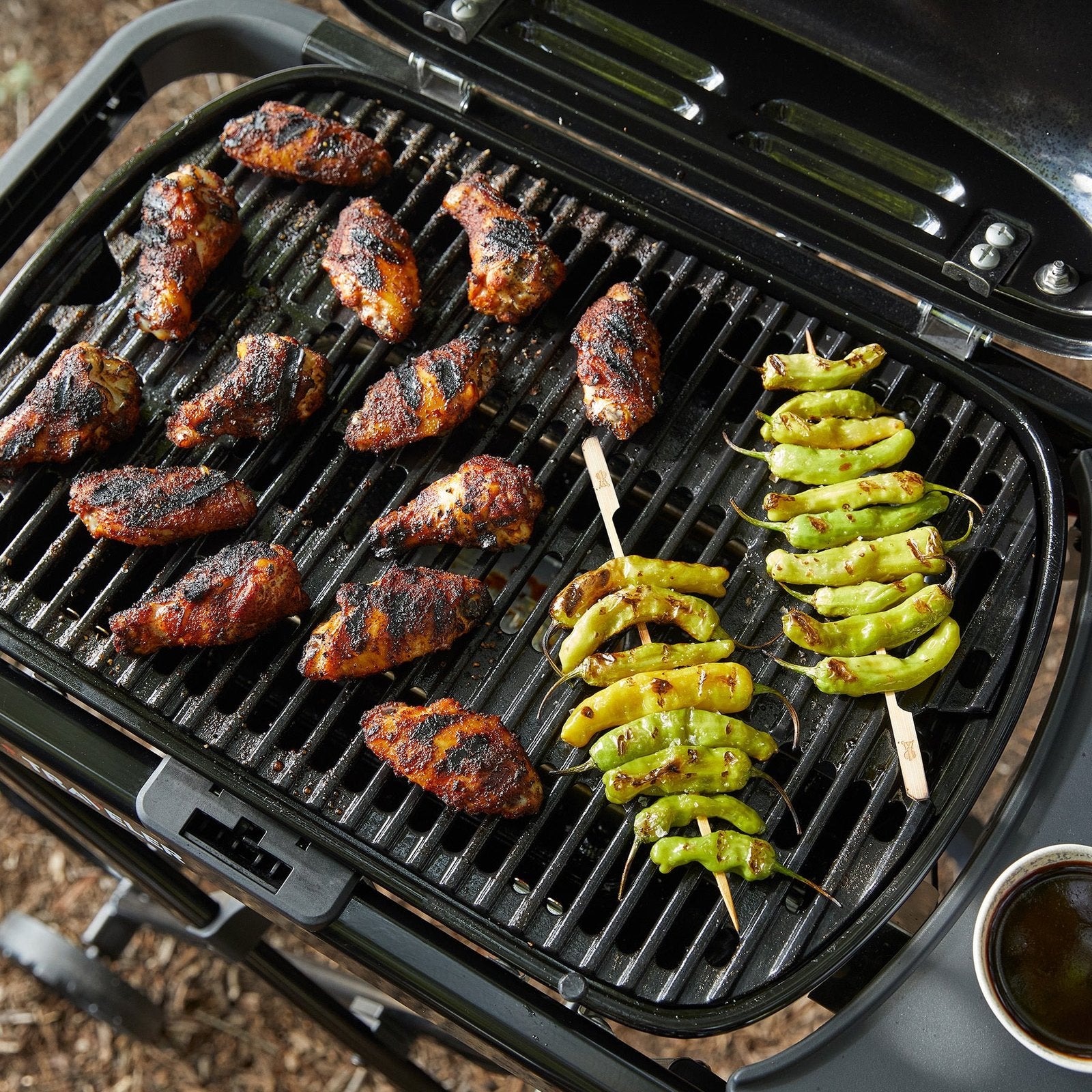 weber traveler® compact portable gas grill weber traveler® compact portable gas grill