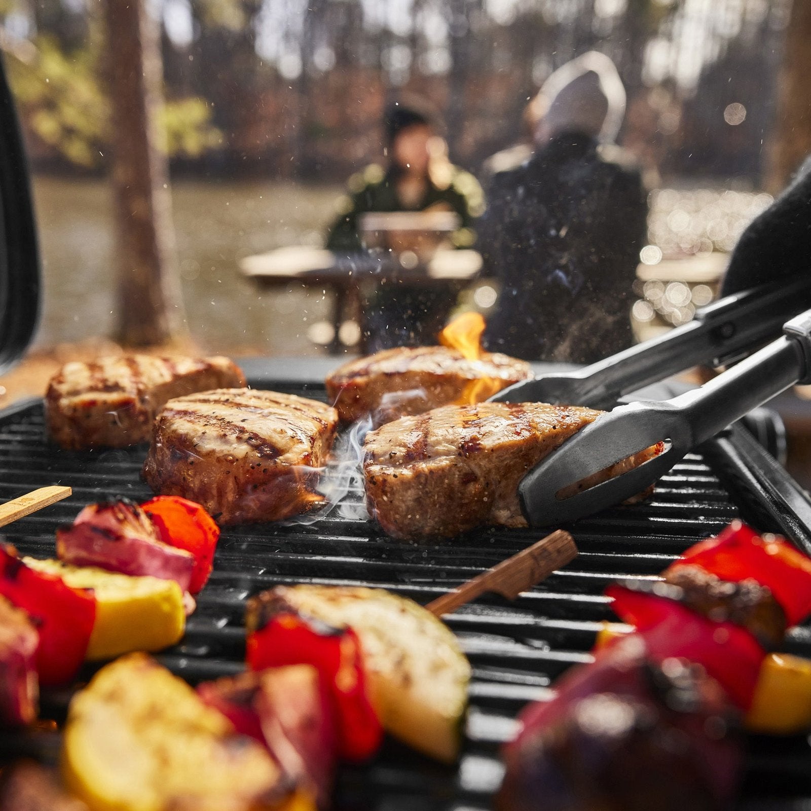 weber traveler® compact portable gas grill weber traveler® compact portable gas grill