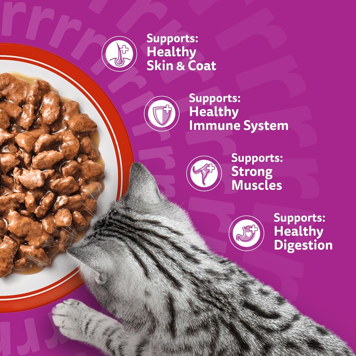 whiskas 1+ adult classic selection in gravy 84 pouches, adult wet cat food, megapack (84 x 85 g) whiskas 1+ adult classic selection in gravy 84 pouches, adult wet cat food, megapack (84 x 85 g)