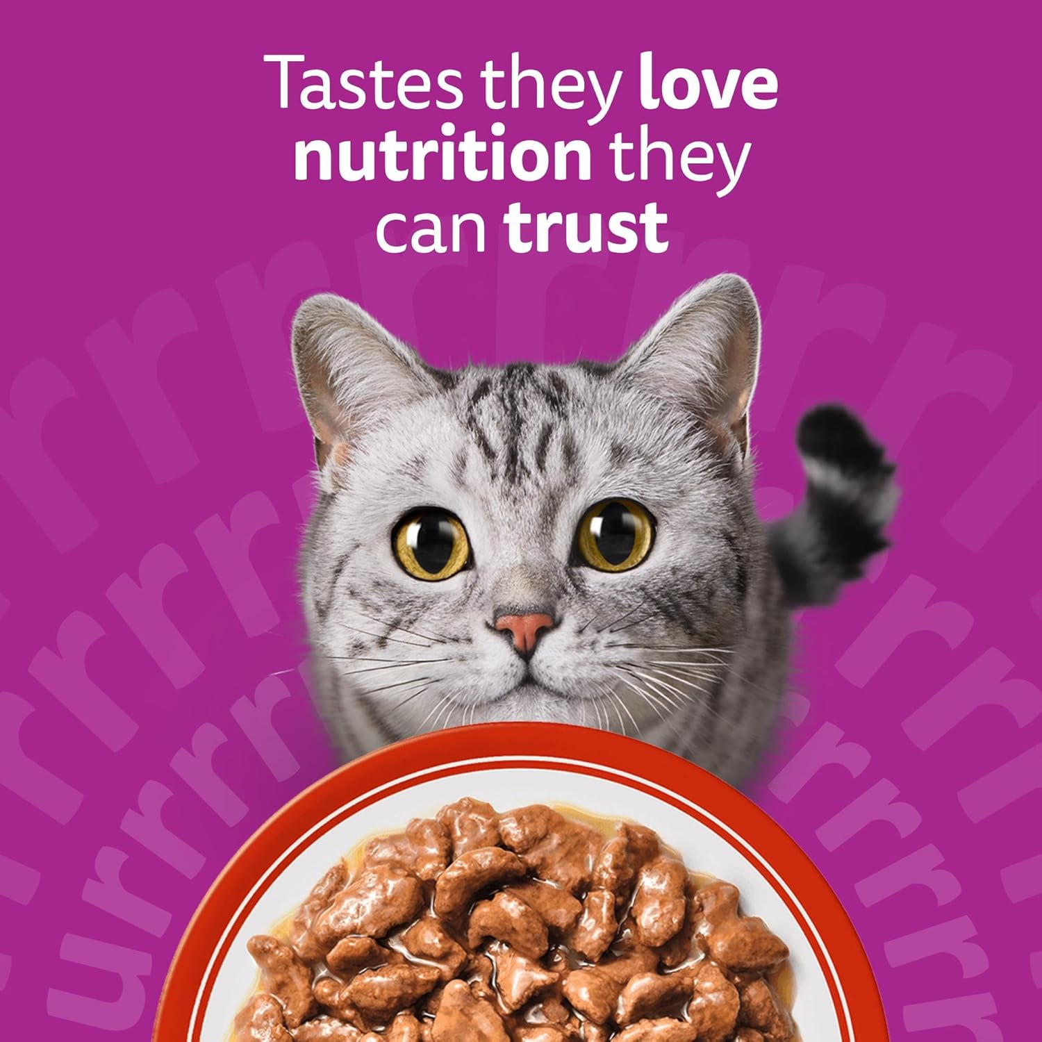 whiskas 1+ adult classic selection in gravy 84 pouches, adult wet cat food, megapack (84 x 85 g) whiskas 1+ adult classic selection in gravy 84 pouches, adult wet cat food, megapack (84 x 85 g)