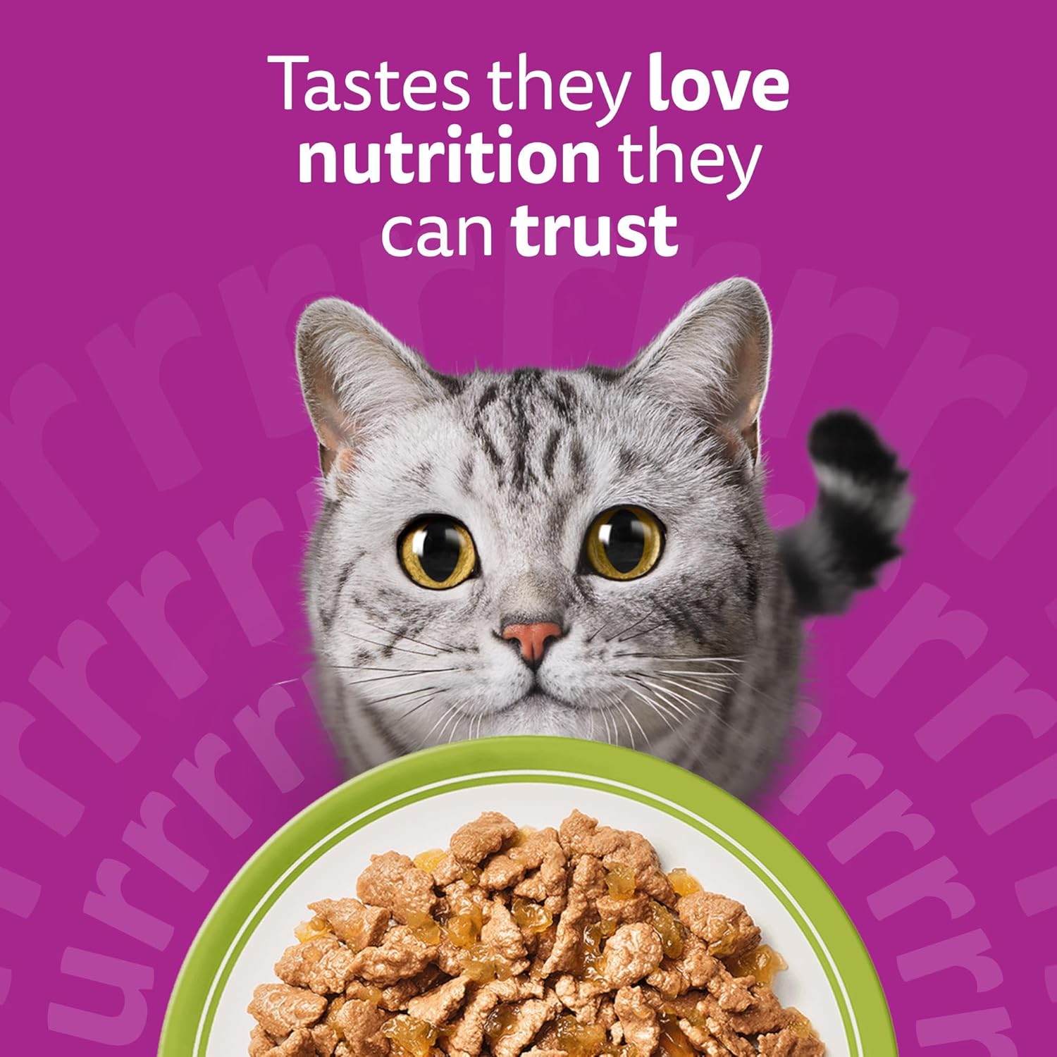 whiskas 1 plus adult mixed selection in jelly 84 pouches, adult wet cat food, megapack (84 x 85 g) whiskas 1 plus adult mixed selection in jelly 84 pouches, adult wet cat food, megapack (84 x 85 g)