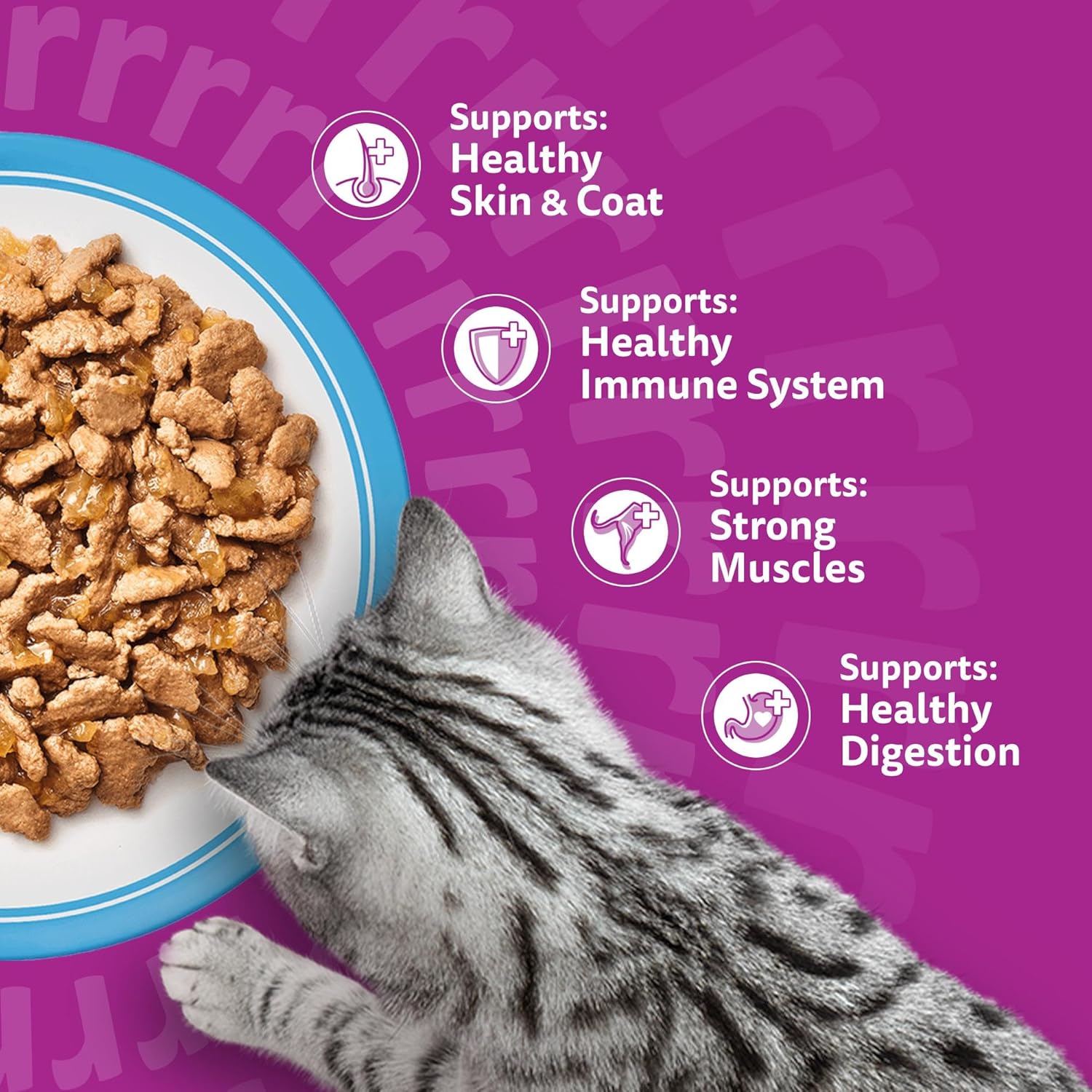 whiskas adult wet cat food in jelly 40x85g fish favourites whiskas adult wet cat food in jelly 40x85g fish favourites
