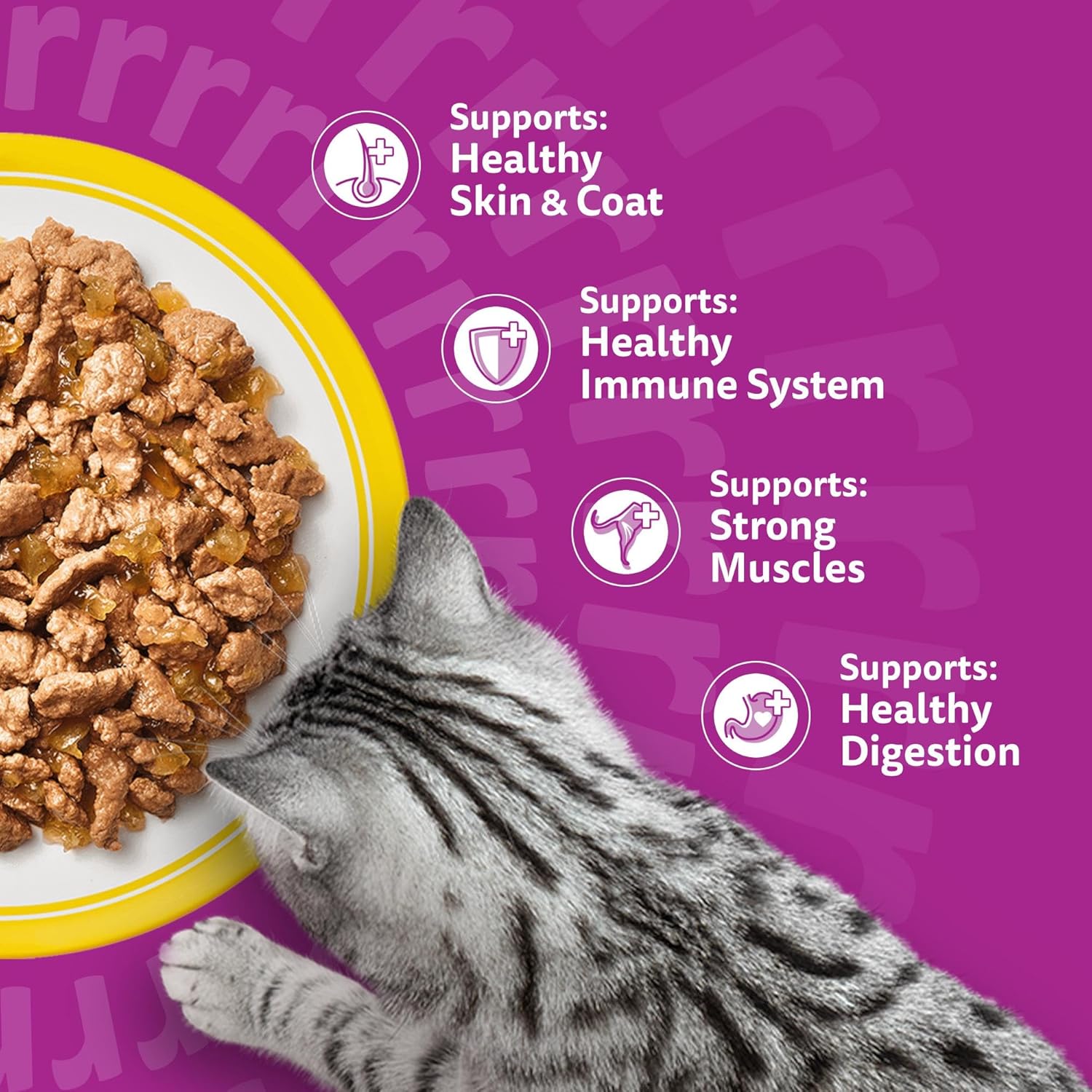 whiskas adult wet cat food in jelly 40x85g poultry feasts whiskas adult wet cat food in jelly 40x85g poultry feasts